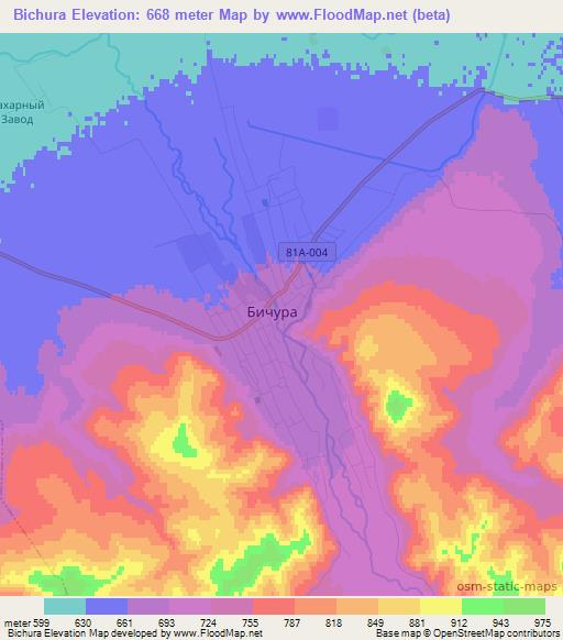 Bichura,Russia Elevation Map