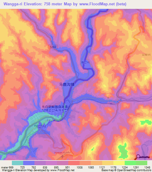 Wangga-ri,North Korea Elevation Map