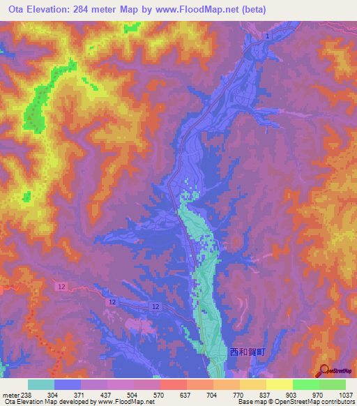 Ota,Japan Elevation Map