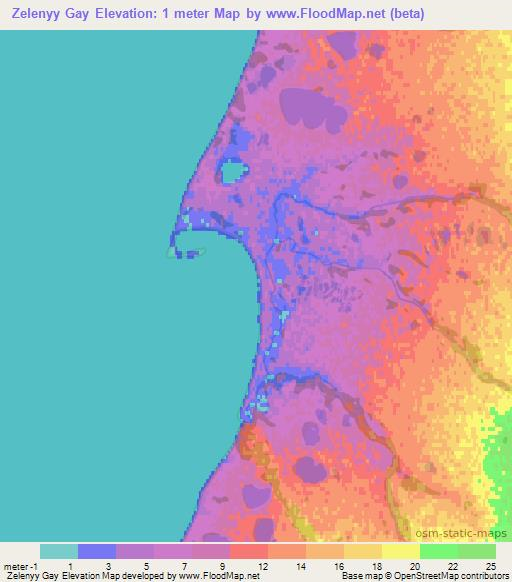 Zelenyy Gay,Russia Elevation Map