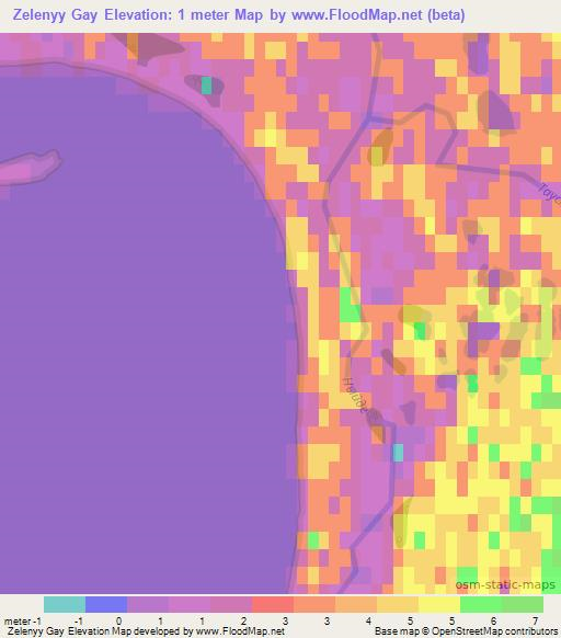 Zelenyy Gay,Russia Elevation Map