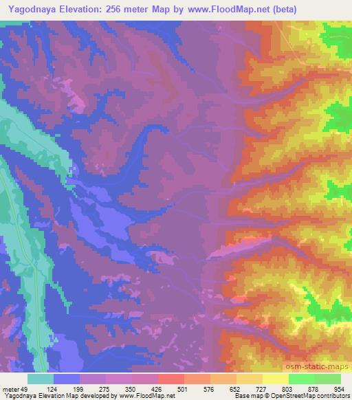 Yagodnaya,Russia Elevation Map