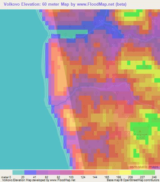 Volkovo,Russia Elevation Map