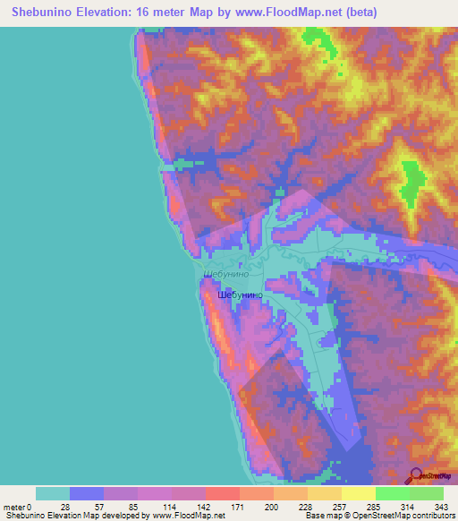 Shebunino,Russia Elevation Map