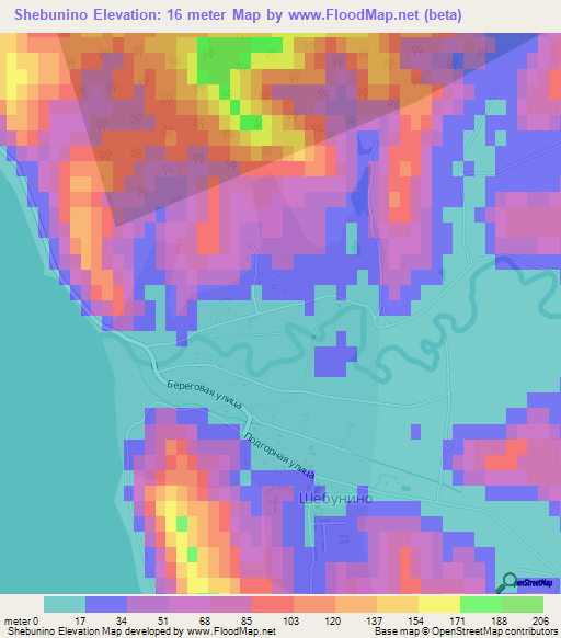 Shebunino,Russia Elevation Map