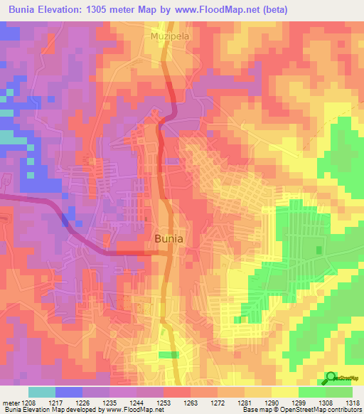 Bunia,Congo (Kinshasa) Elevation Map