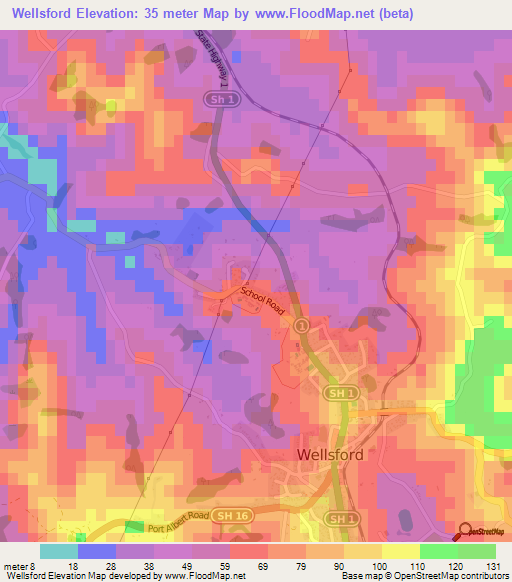 Wellsford,New Zealand Elevation Map