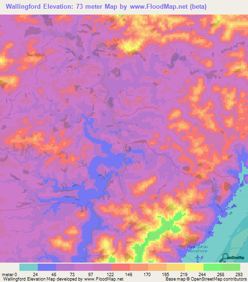 Wallingford,New Zealand Elevation Map