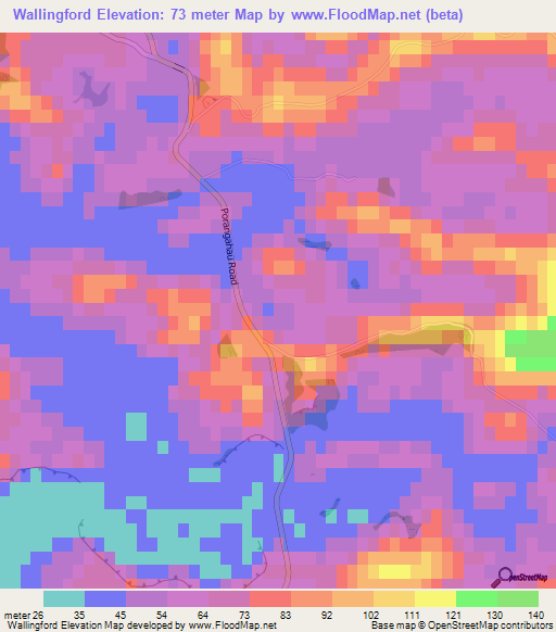 Wallingford,New Zealand Elevation Map