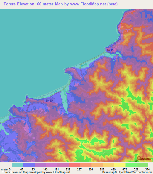 Torere,New Zealand Elevation Map