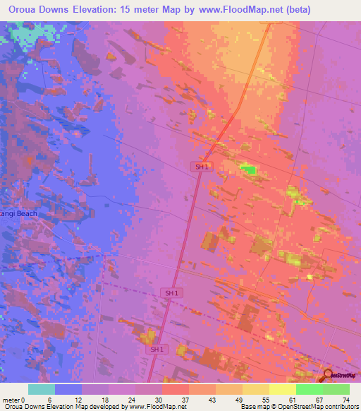 Oroua Downs,New Zealand Elevation Map