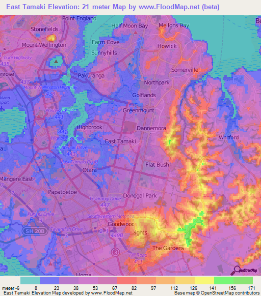 East Tamaki,New Zealand Elevation Map