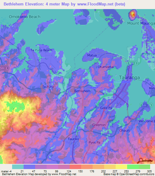 Bethlehem,New Zealand Elevation Map