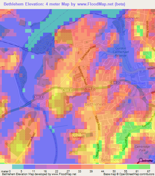 Bethlehem,New Zealand Elevation Map