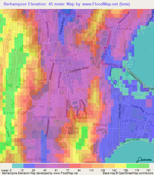 Berhampore,New Zealand Elevation Map