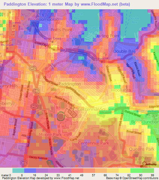 Paddington,Australia Elevation Map