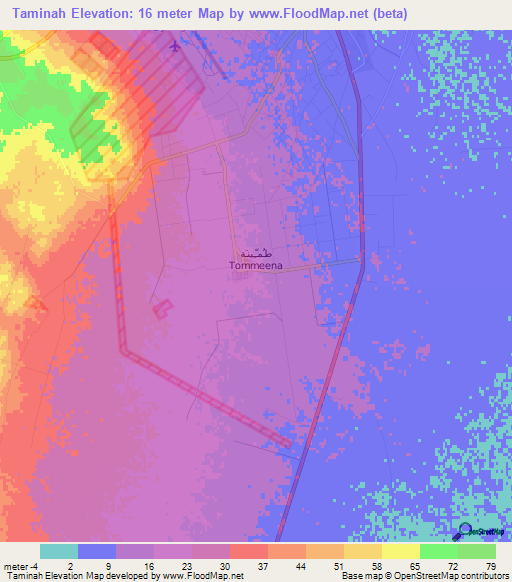 Taminah,Libya Elevation Map