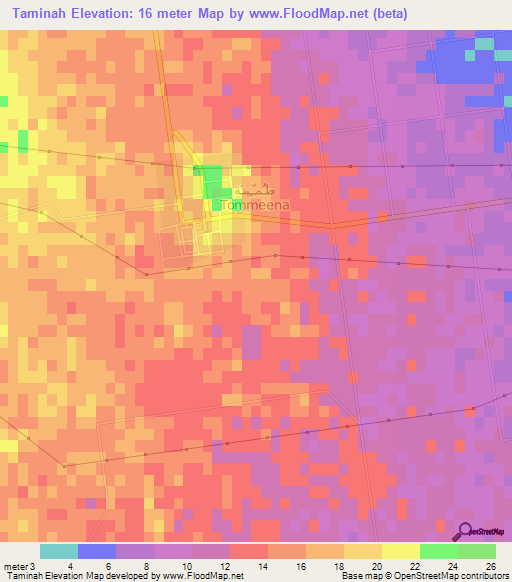 Taminah,Libya Elevation Map
