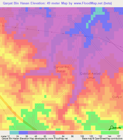 Qaryat Bin Hasan,Libya Elevation Map