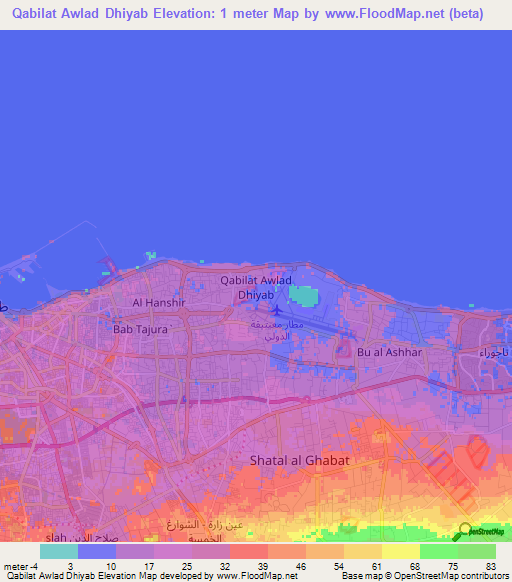 Qabilat Awlad Dhiyab,Libya Elevation Map