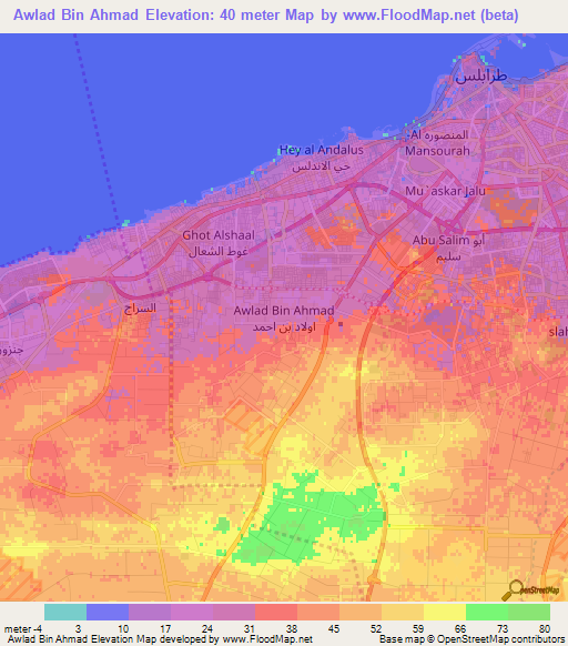 Awlad Bin Ahmad,Libya Elevation Map