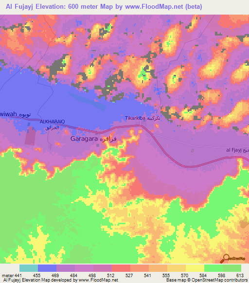 Al Fujayj,Libya Elevation Map