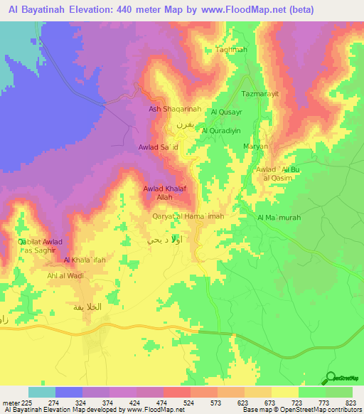 Al Bayatinah,Libya Elevation Map