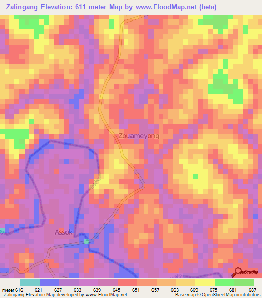 Zalingang,Cameroon Elevation Map