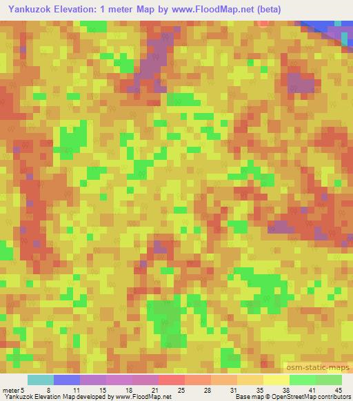 Yankuzok,Cameroon Elevation Map