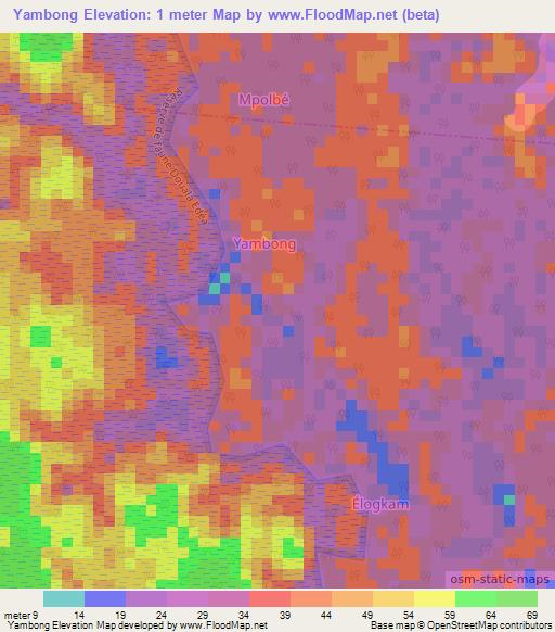 Yambong,Cameroon Elevation Map