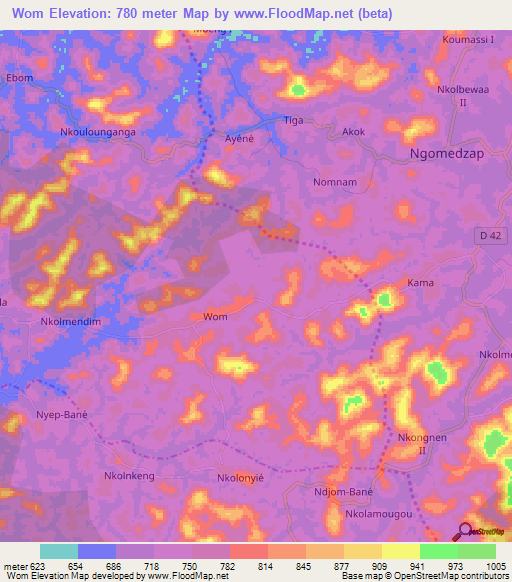 Wom,Cameroon Elevation Map