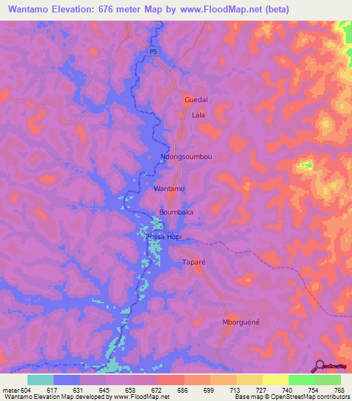 Wantamo,Cameroon Elevation Map