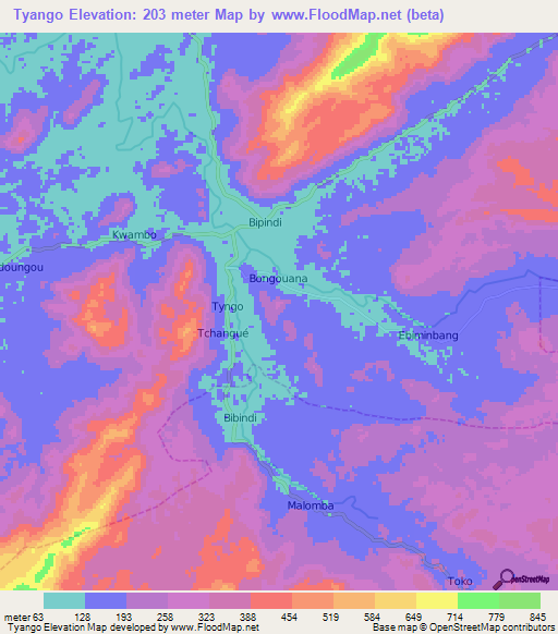 Tyango,Cameroon Elevation Map