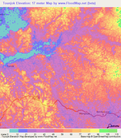 Tounjok,Cameroon Elevation Map