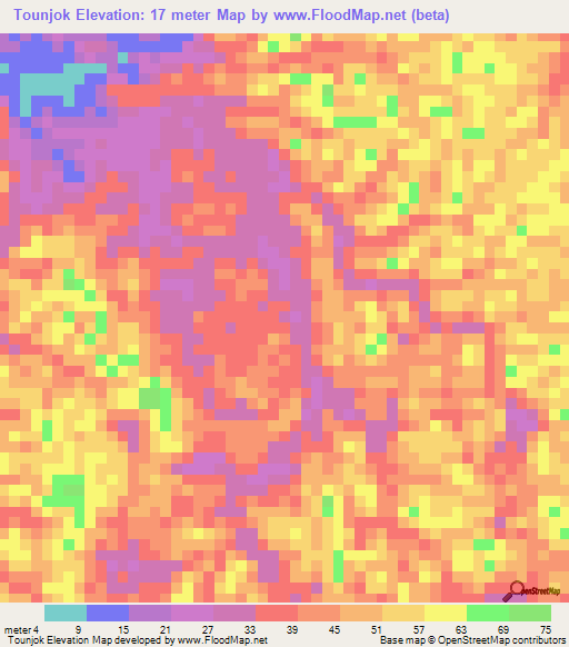 Tounjok,Cameroon Elevation Map