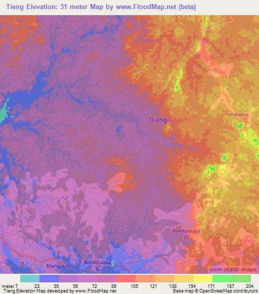 Tieng,Cameroon Elevation Map