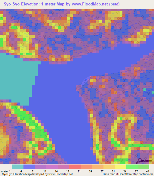 Syo Syo,Cameroon Elevation Map