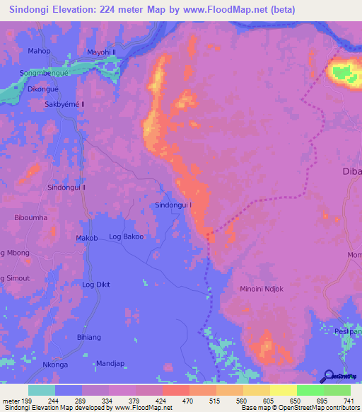 Sindongi,Cameroon Elevation Map