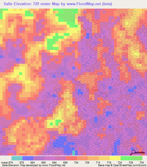 Salle,Cameroon Elevation Map