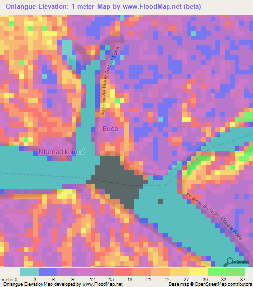 Oniangue,Cameroon Elevation Map