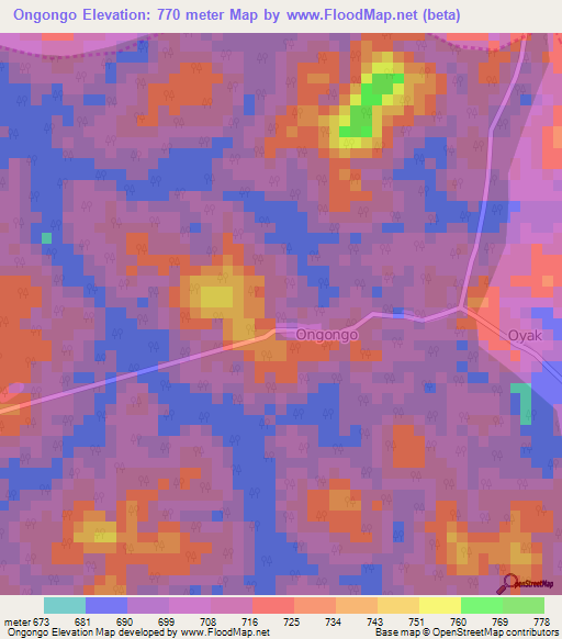 Ongongo,Cameroon Elevation Map