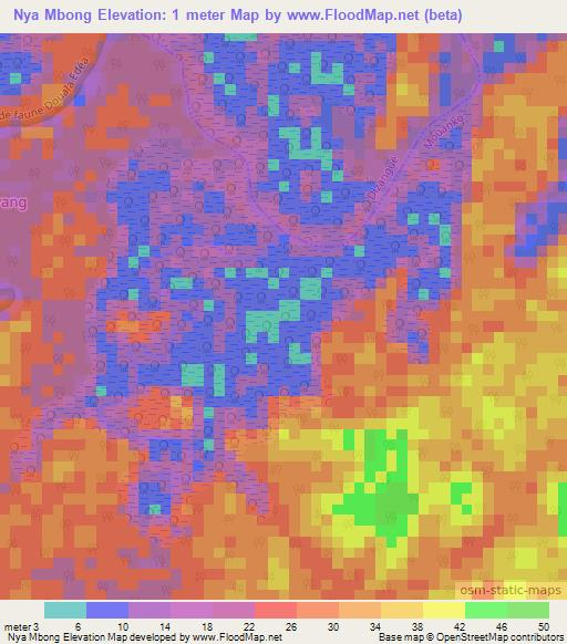 Nya Mbong,Cameroon Elevation Map