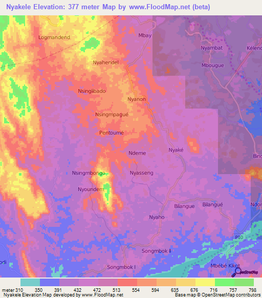Nyakele,Cameroon Elevation Map