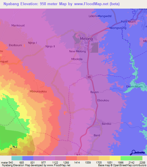 Nyabang,Cameroon Elevation Map