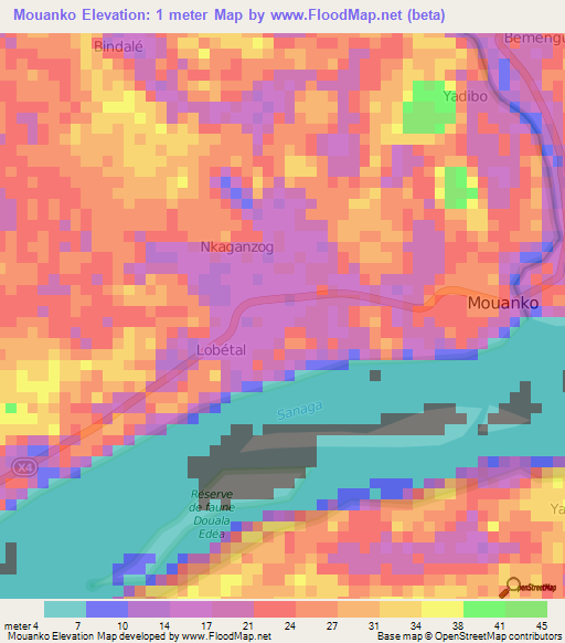 Mouanko,Cameroon Elevation Map