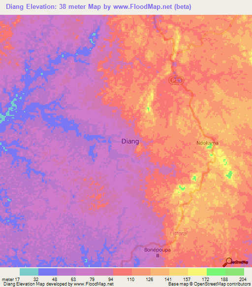 Diang,Cameroon Elevation Map