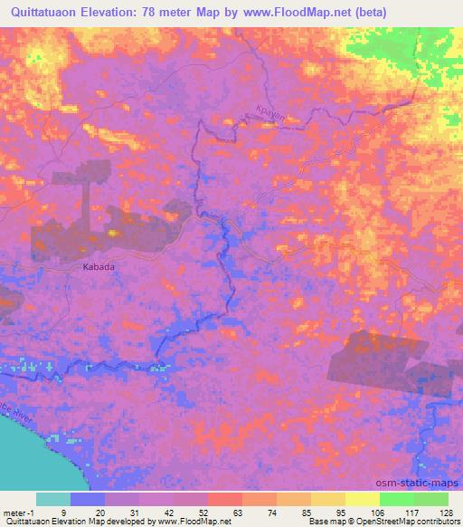 Quittatuaon,Liberia Elevation Map