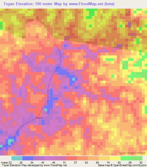 Toyan,Liberia Elevation Map