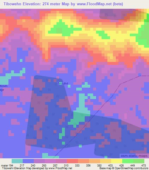 Tibowehn,Liberia Elevation Map