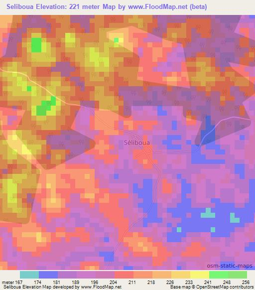 Seliboua,Ivory Coast Elevation Map